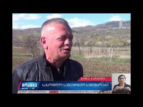 საოკუპაციო ხაზთან მდებარე სოფლებში საგაზაფხულო სამუშაოები მიმდინარეობს